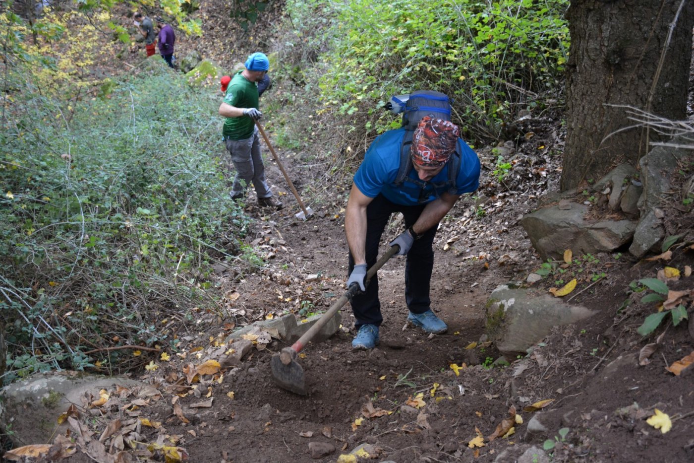 N.E. Vardousia / Opening the lost Mousounitsa - Sikia forest path / Pindus trail