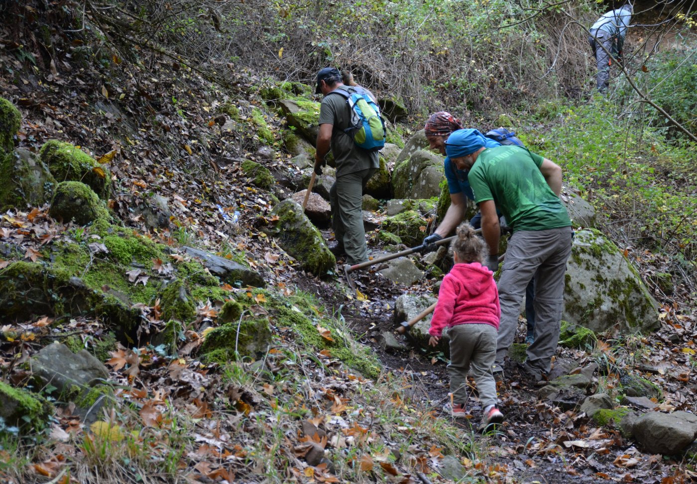 N.E. Vardousia / Opening the lost Mousounitsa - Sikia forest path / Pindus trail