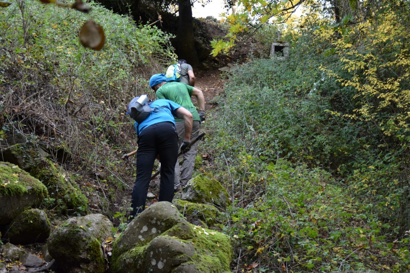 N.E. Vardousia / Opening the lost Mousounitsa - Sikia forest path / Pindus trail