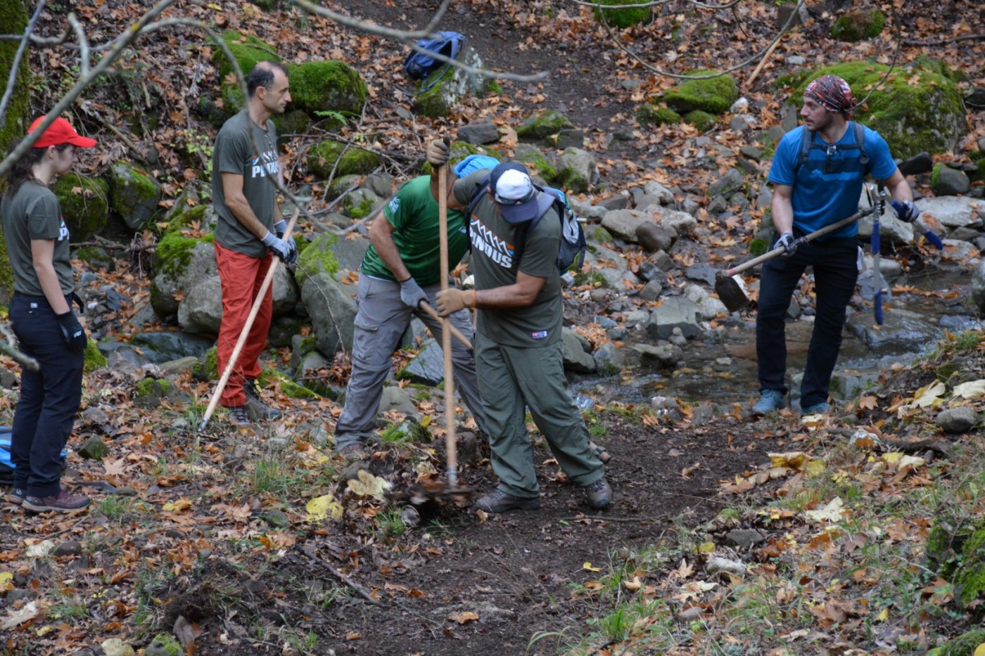 N.E. Vardousia / Opening the lost Mousounitsa - Sikia forest path / Pindus trail