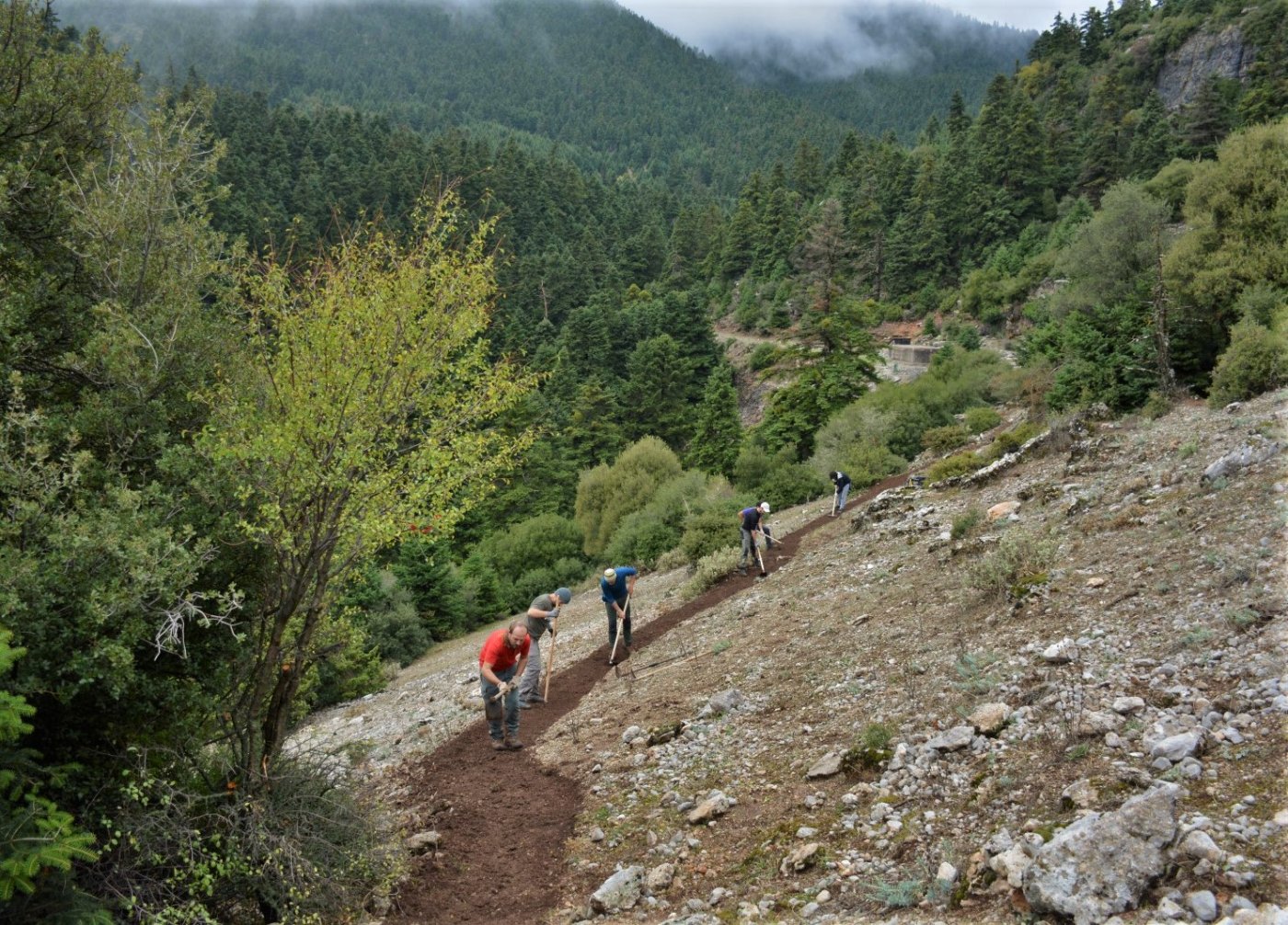 Ενημερωτικό προόδου στον άξονα του Pindus trail / όρια Νομού Φωκίδας.