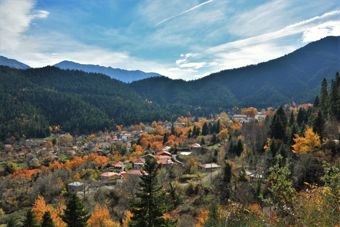 N.E. Vardousia / Opening the old Ath. Diakos - Mousounitsa forest path / Pindus trail