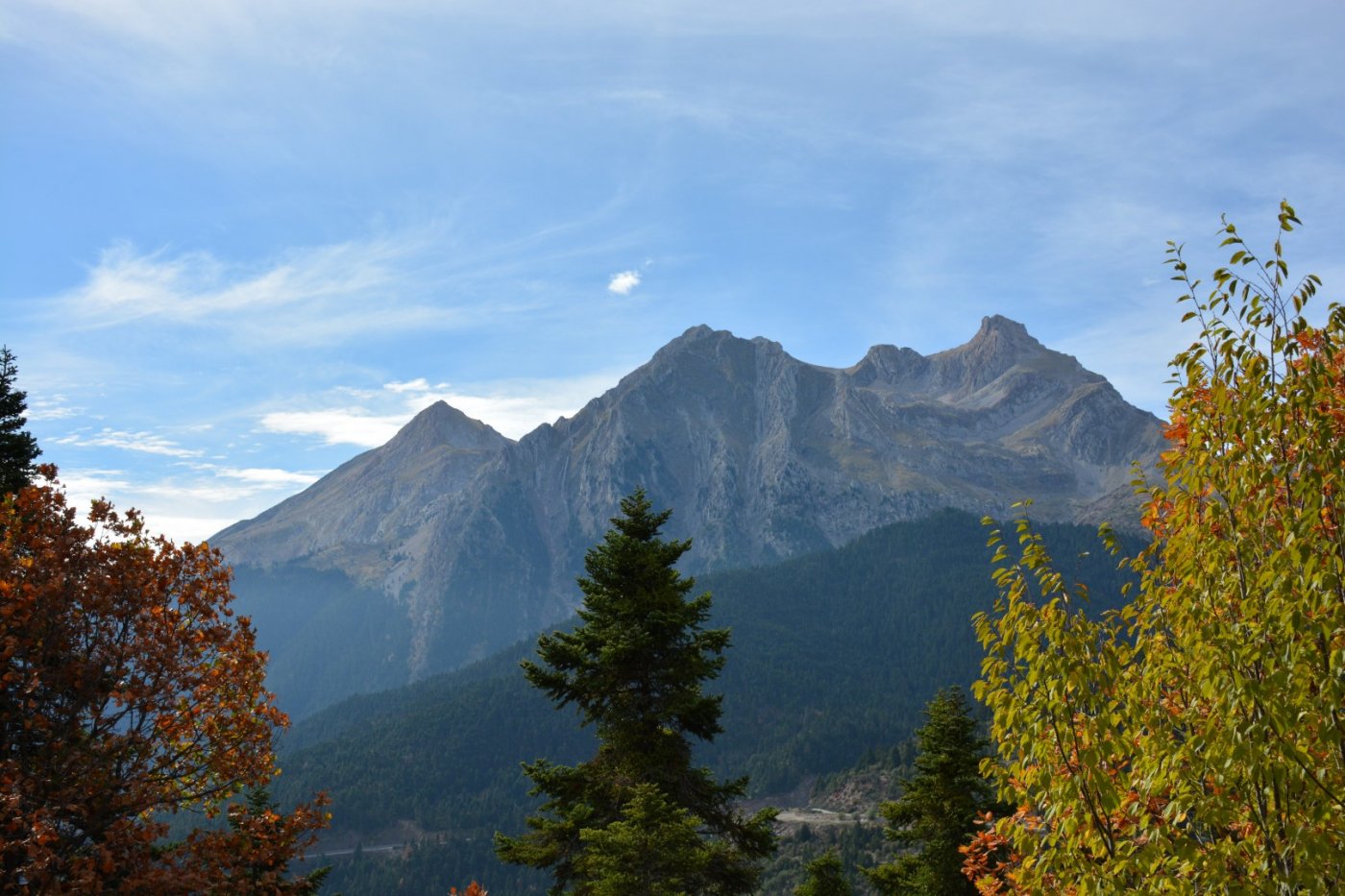 N.E. Vardousia / Opening the old Ath. Diakos - Mousounitsa forest path / Pindus trail