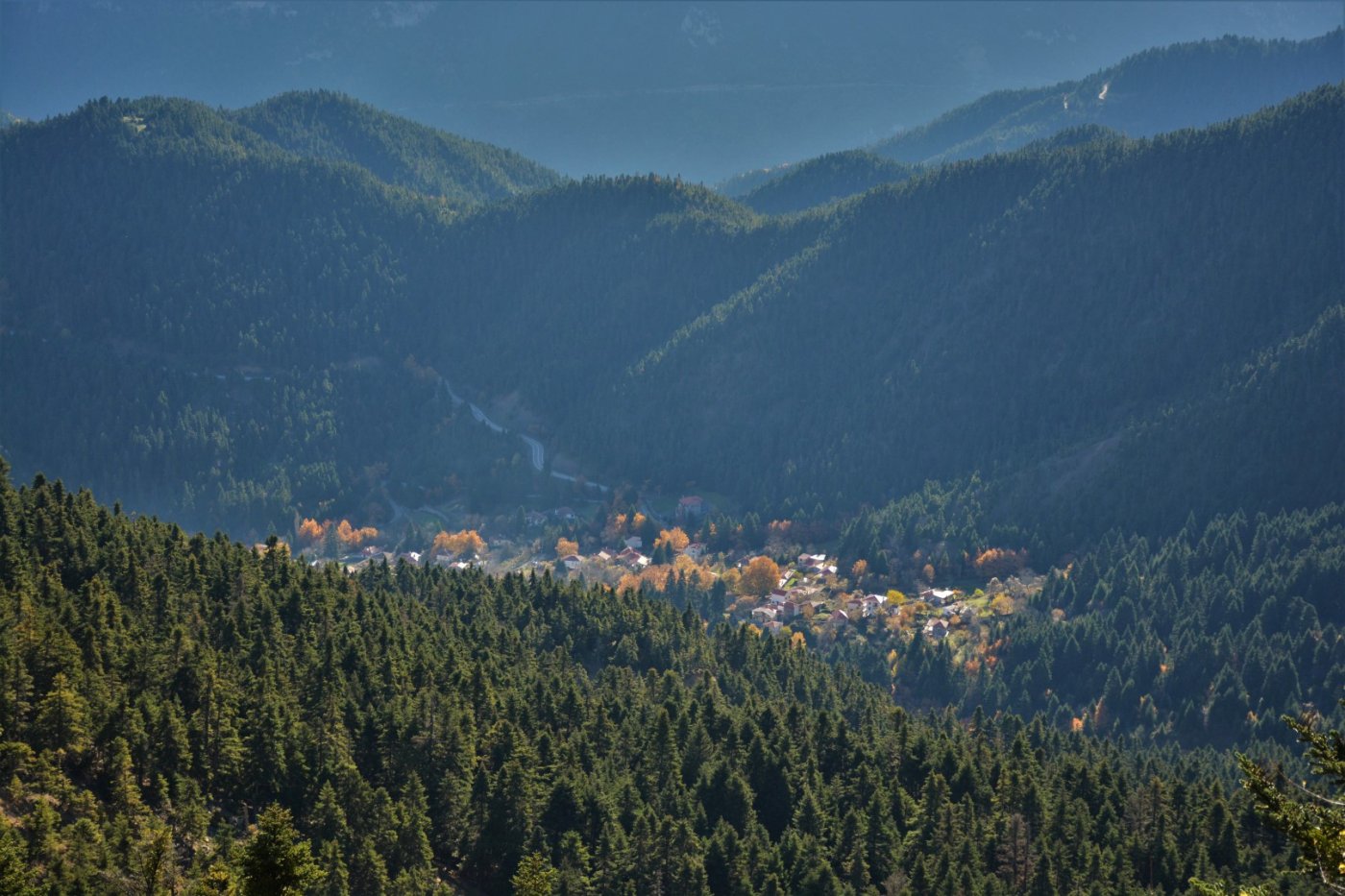 N.E. Vardousia / Opening the old Ath. Diakos - Mousounitsa forest path / Pindus trail