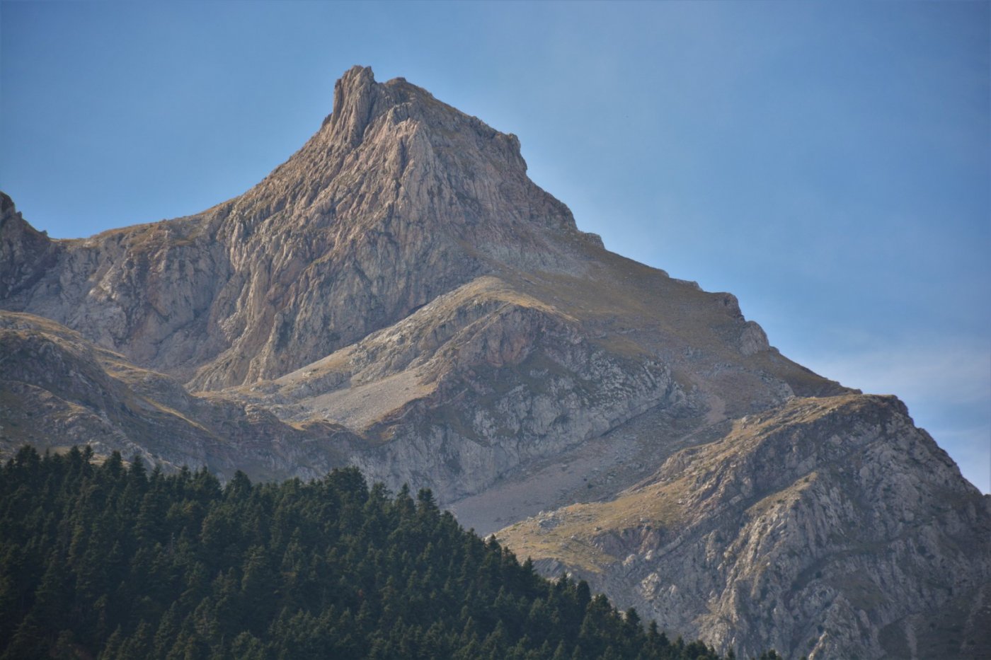 N.E. Vardousia / Opening the old Ath. Diakos - Mousounitsa forest path / Pindus trail