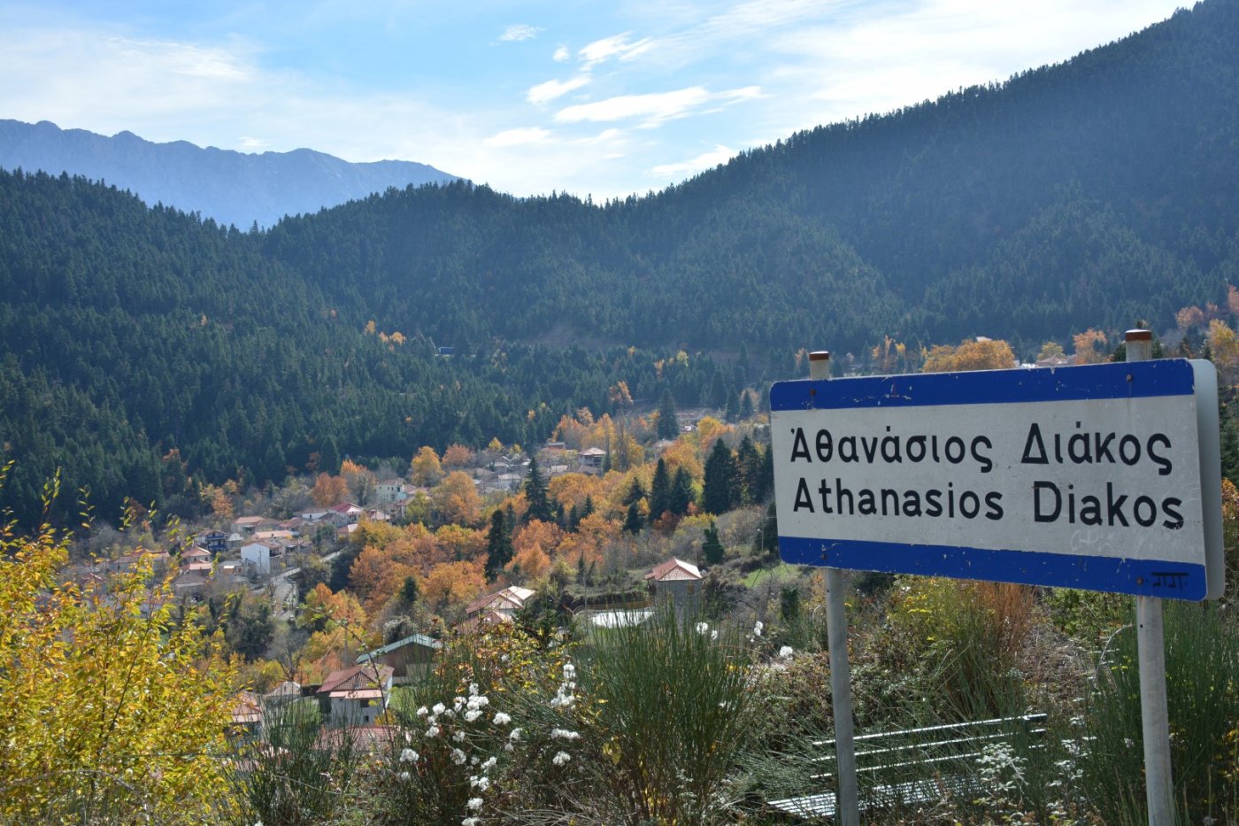 N.E. Vardousia / Opening the old Ath. Diakos - Mousounitsa forest path / Pindus trail