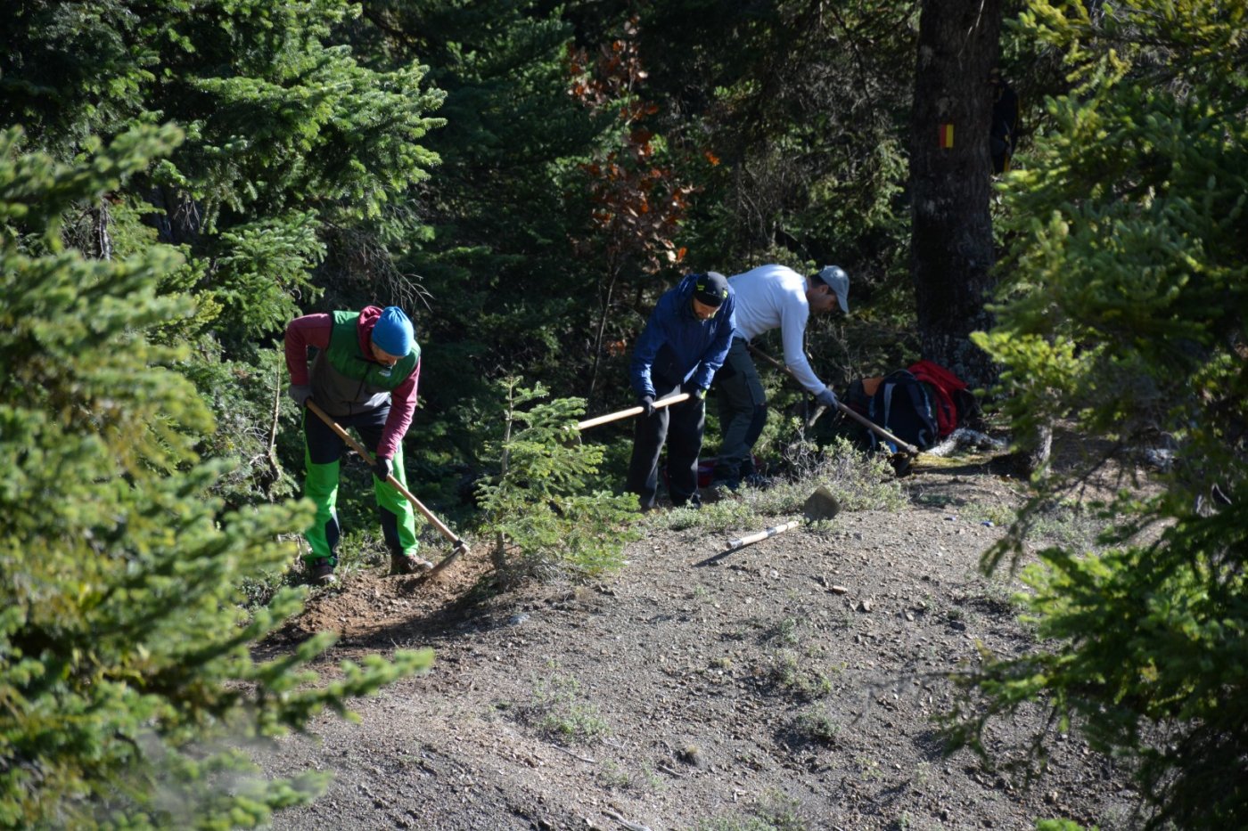 N.E. Vardousia / Opening the old Ath. Diakos - Mousounitsa forest path / Pindus trail