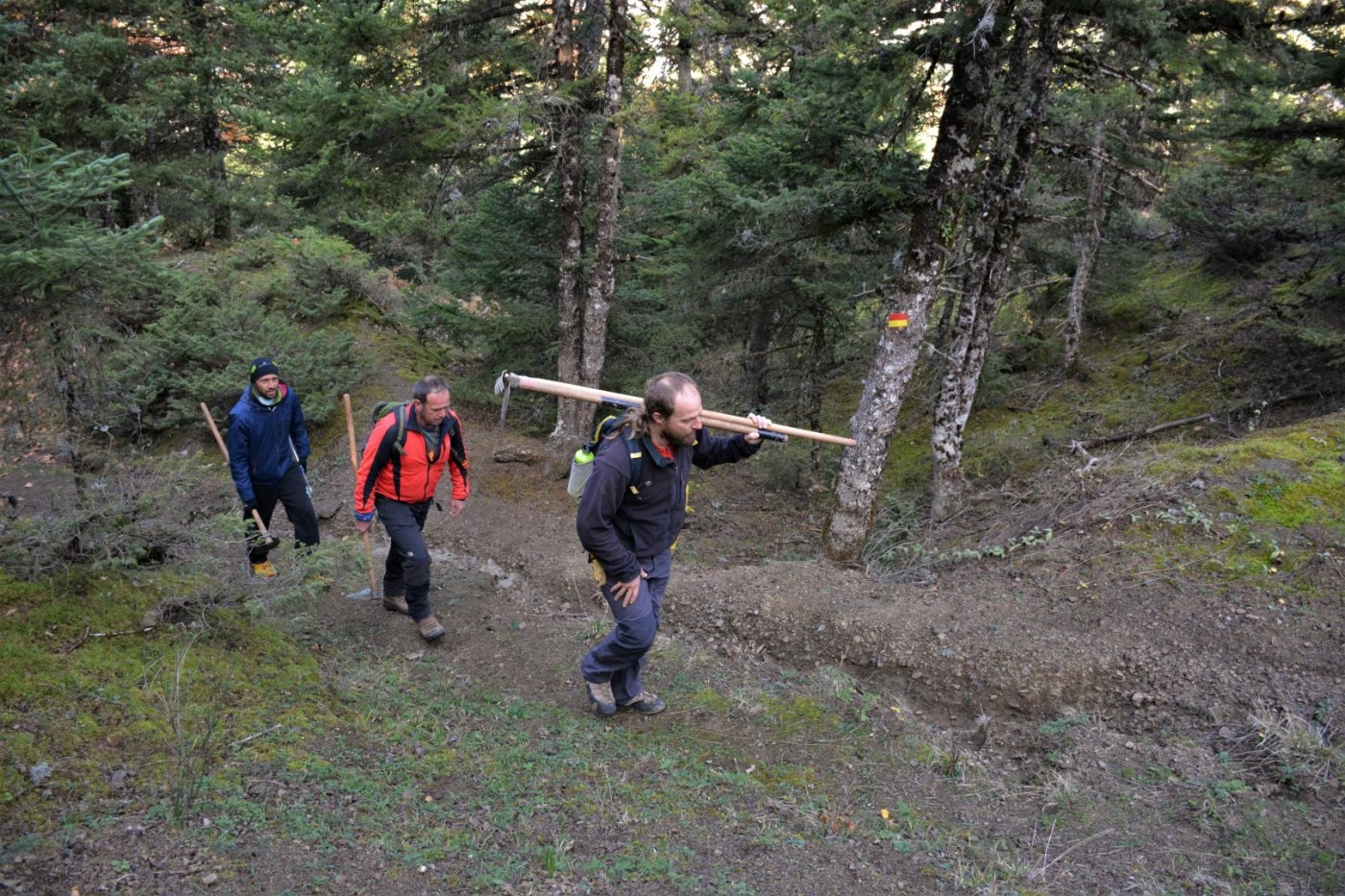 N.E. Vardousia / Opening the old Ath. Diakos - Mousounitsa forest path / Pindus trail