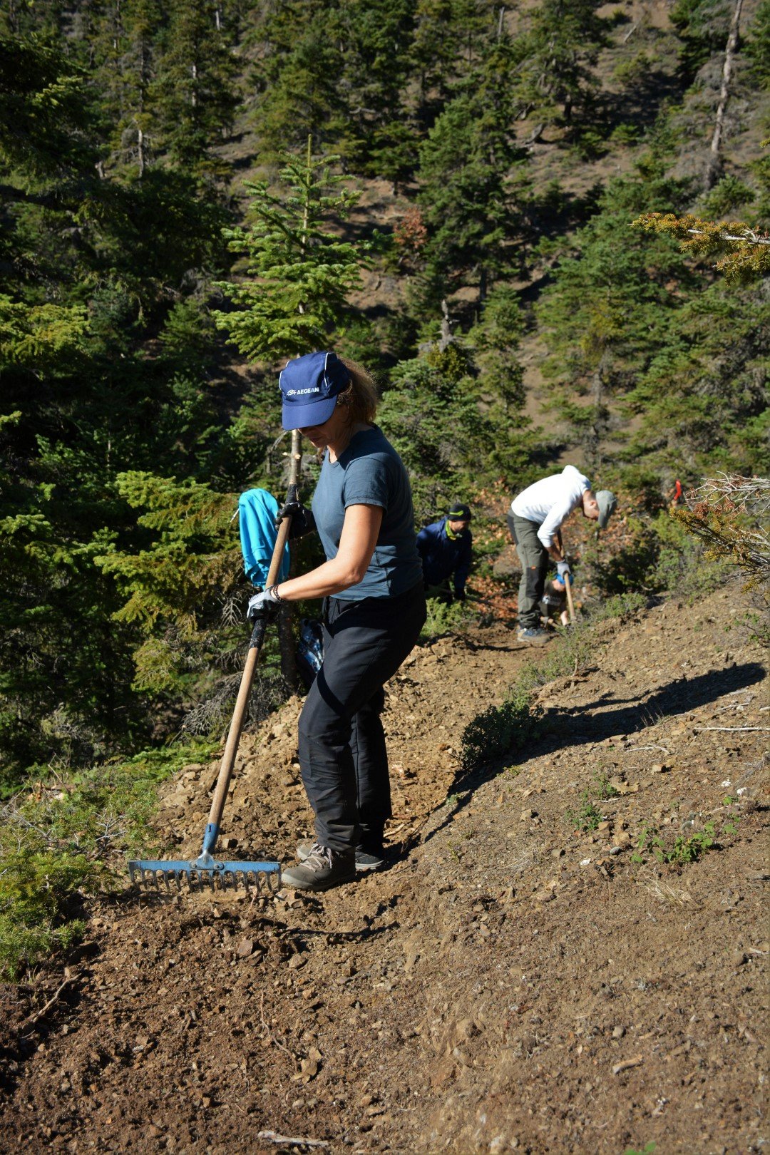 N.E. Vardousia / Opening the old Ath. Diakos - Mousounitsa forest path / Pindus trail