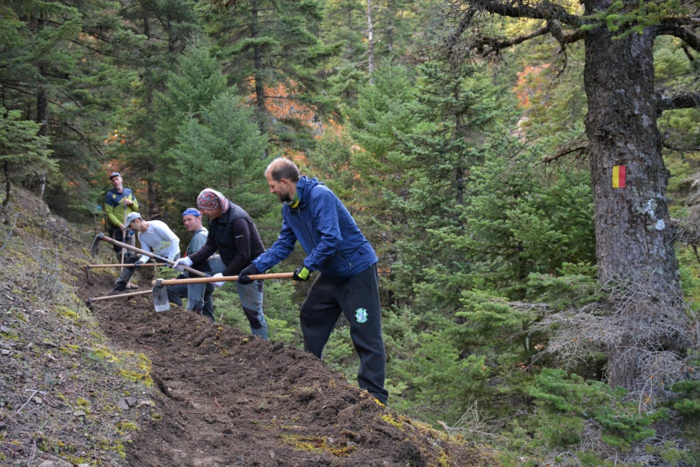 N.E. Vardousia / Opening the old Ath. Diakos - Mousounitsa forest path / Pindus trail