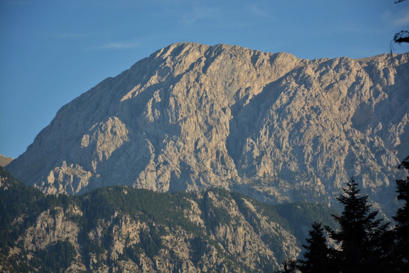 N.E. Vardousia / Opening the old Ath. Diakos - Mousounitsa forest path / Pindus trail