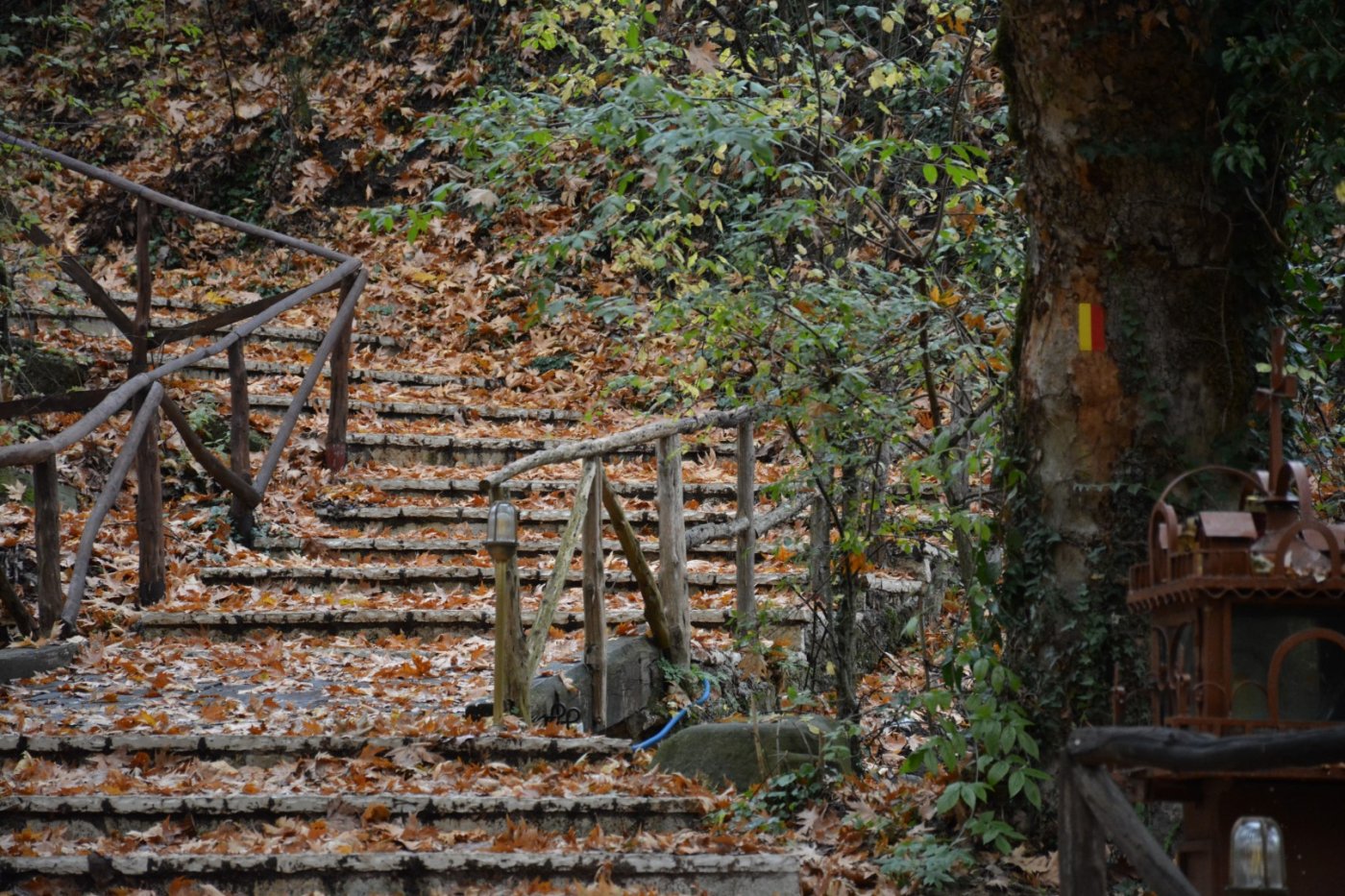 N.E. Vardousia / Opening the old Ath. Diakos - Mousounitsa forest path / Pindus trail