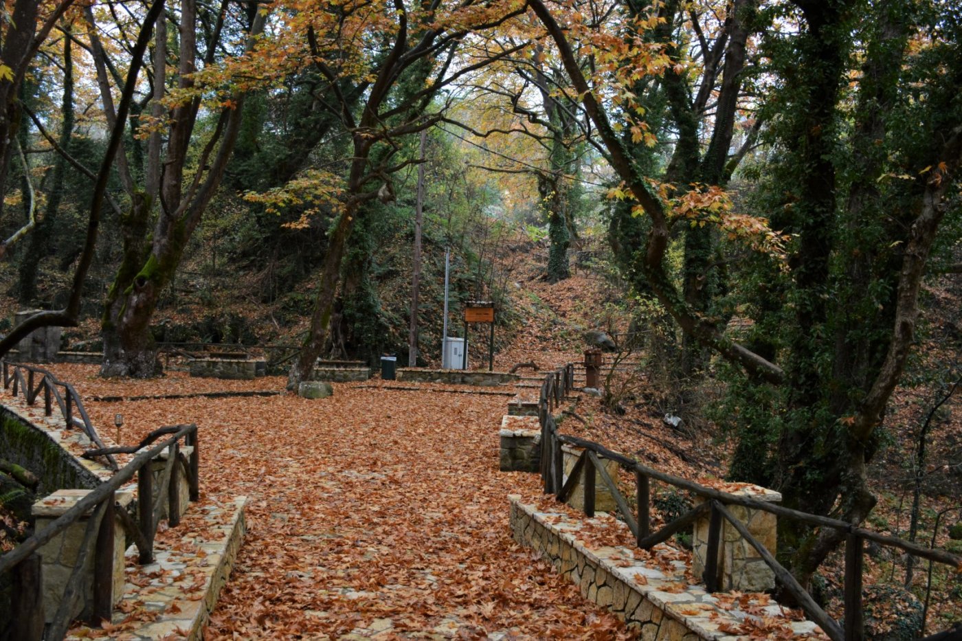 N.E. Vardousia / Opening the old Ath. Diakos - Mousounitsa forest path / Pindus trail