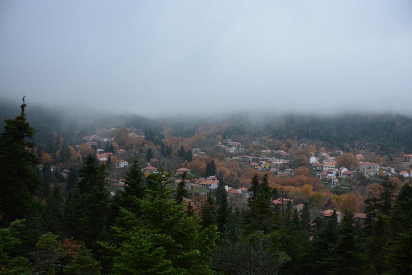 N.E. Vardousia / Opening the old Ath. Diakos - Mousounitsa forest path / Pindus trail