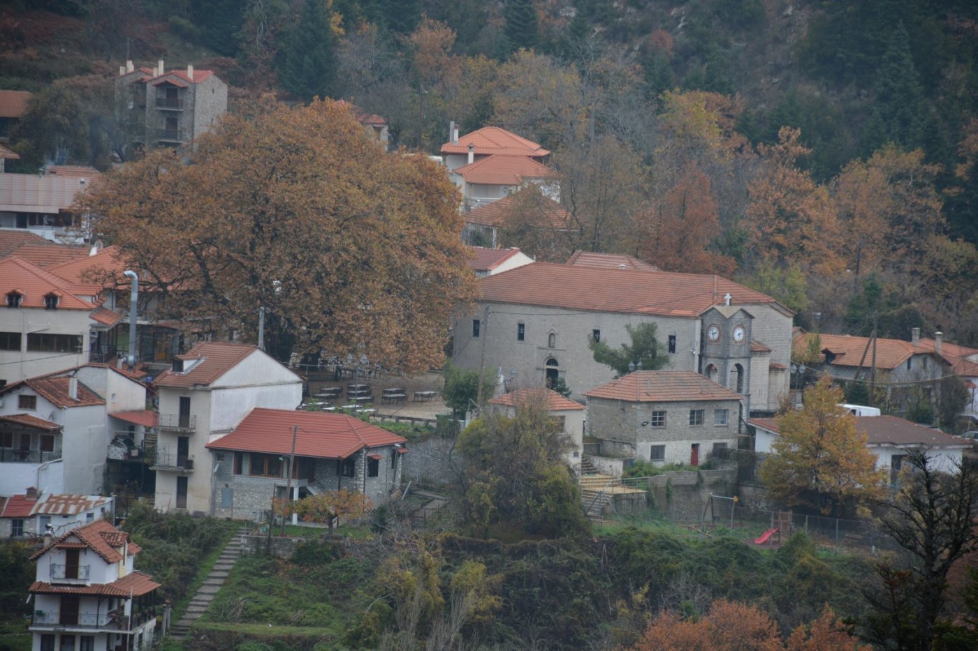 N.E. Vardousia / Opening the old Ath. Diakos - Mousounitsa forest path / Pindus trail