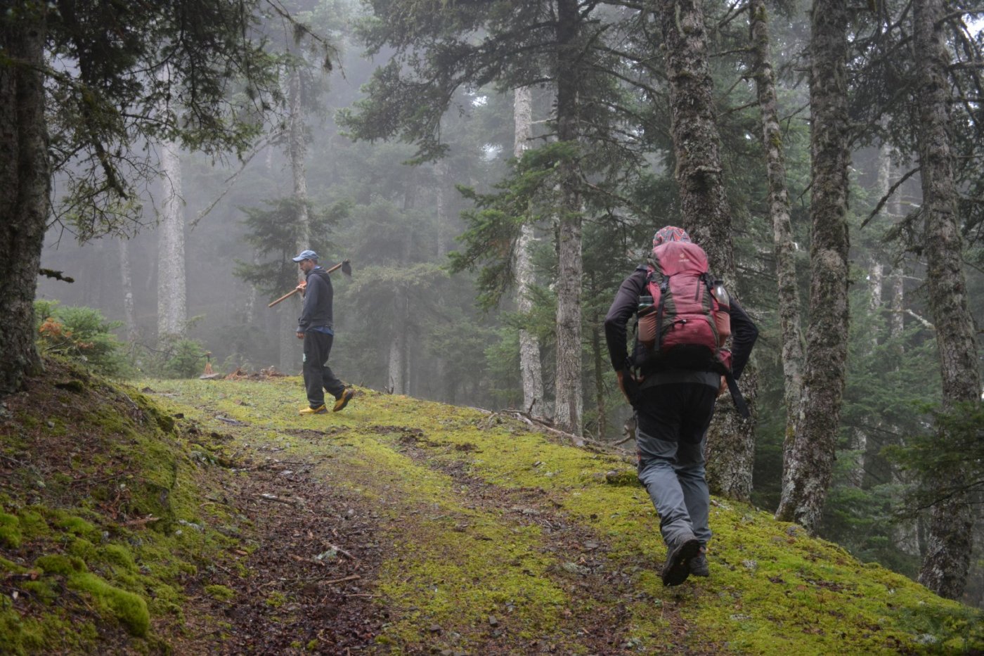 N.E. Vardousia / Opening the old Ath. Diakos - Mousounitsa forest path / Pindus trail