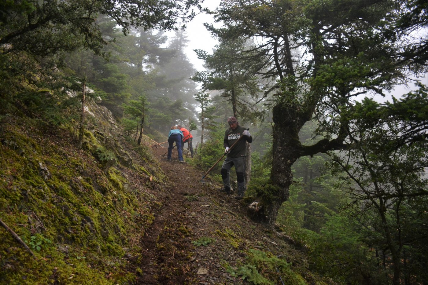 N.E. Vardousia / Opening the old Ath. Diakos - Mousounitsa forest path / Pindus trail