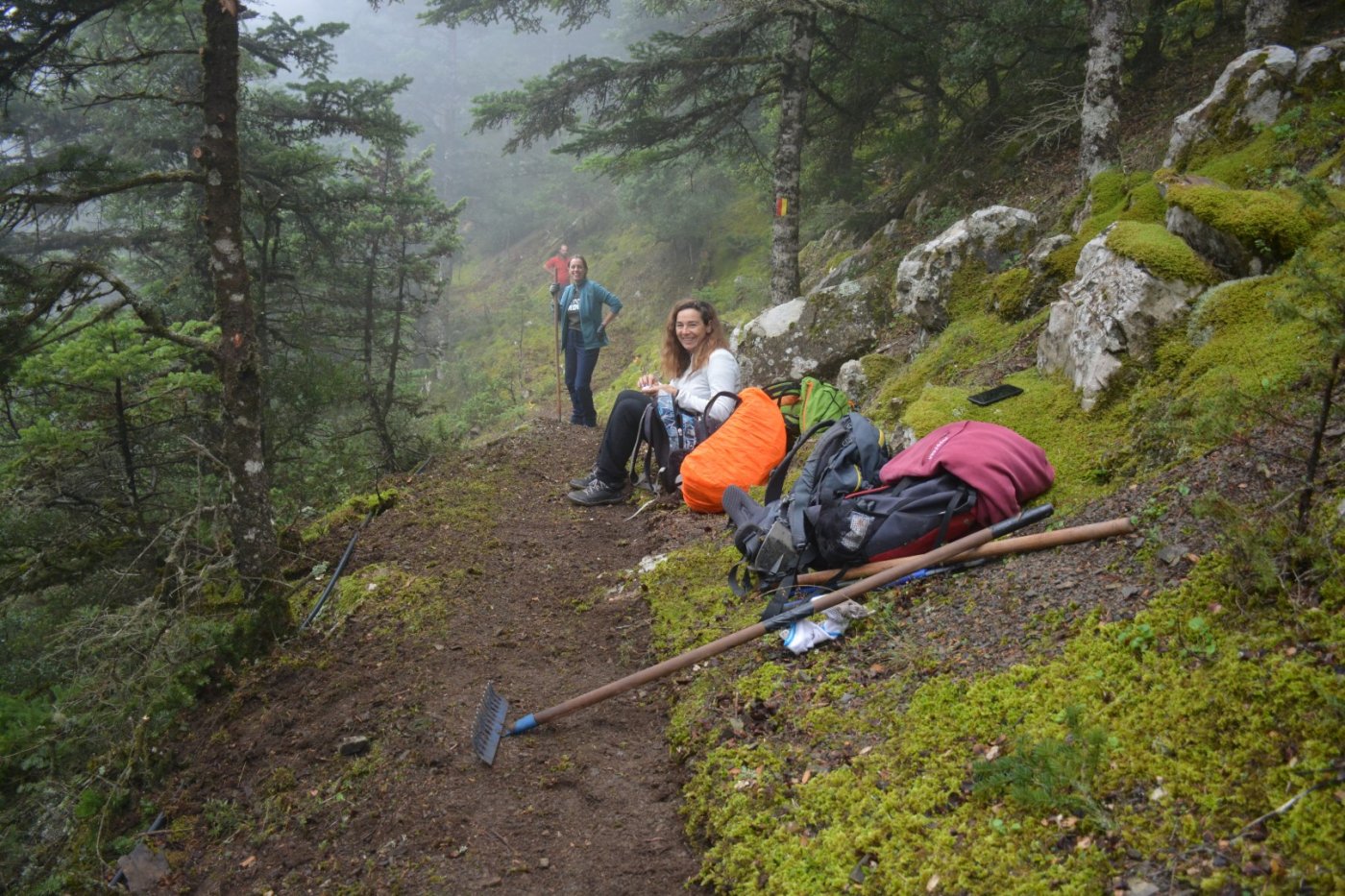 N.E. Vardousia / Opening the old Ath. Diakos - Mousounitsa forest path / Pindus trail