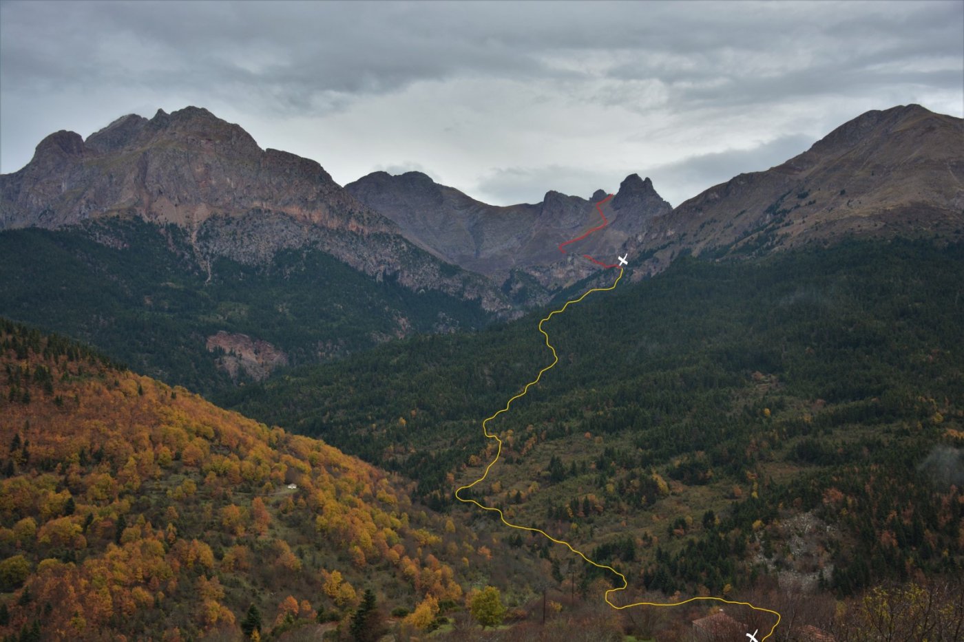 W. Vardousia mt / opening the old Artotina - Lakkos forest path / Pindus trail 