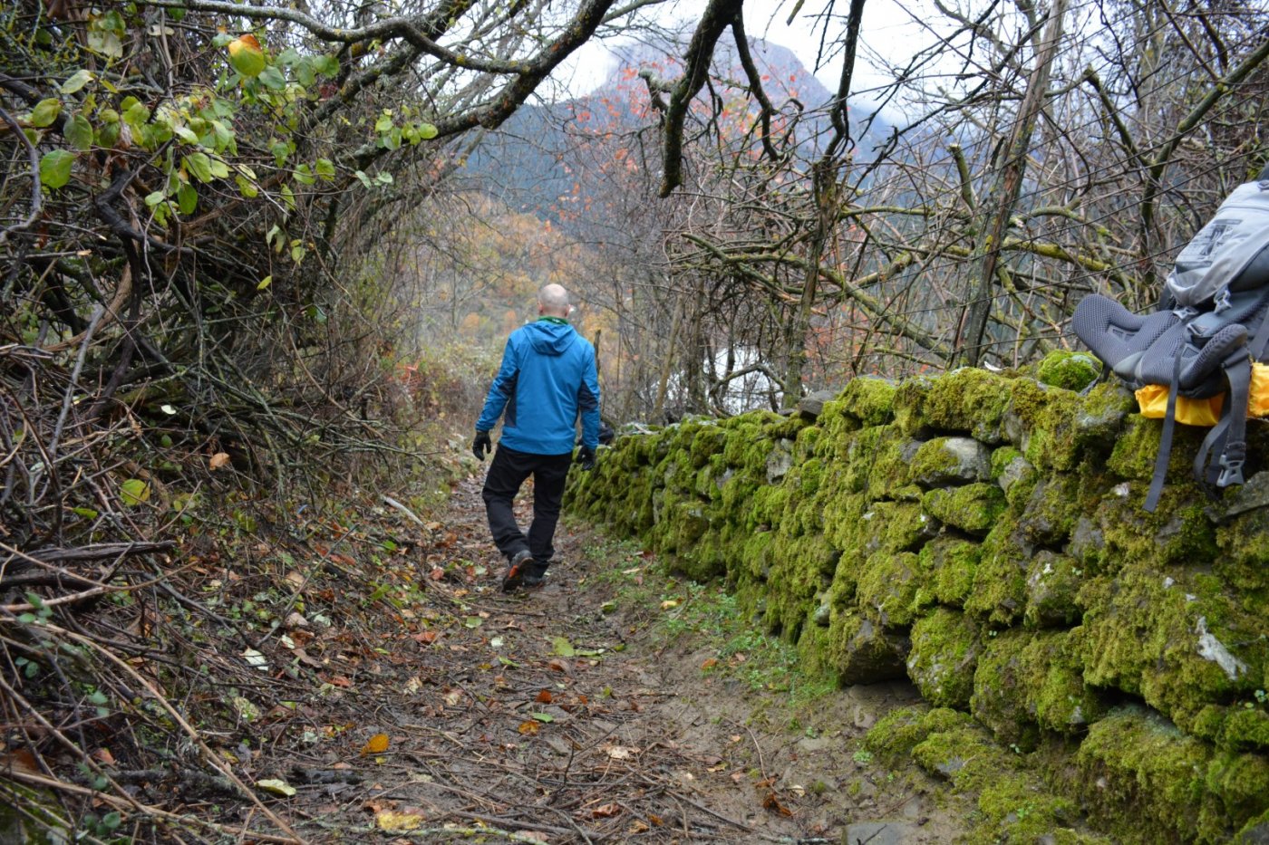 W. Vardousia mt / opening the old Artotina - Lakkos forest path / Pindus trail 