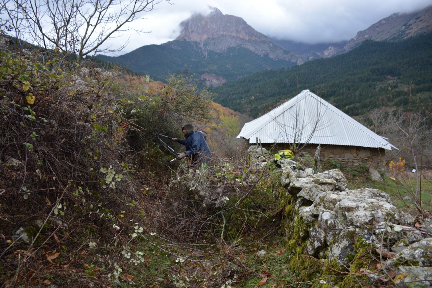 W. Vardousia mt / opening the old Artotina - Lakkos forest path / Pindus trail 