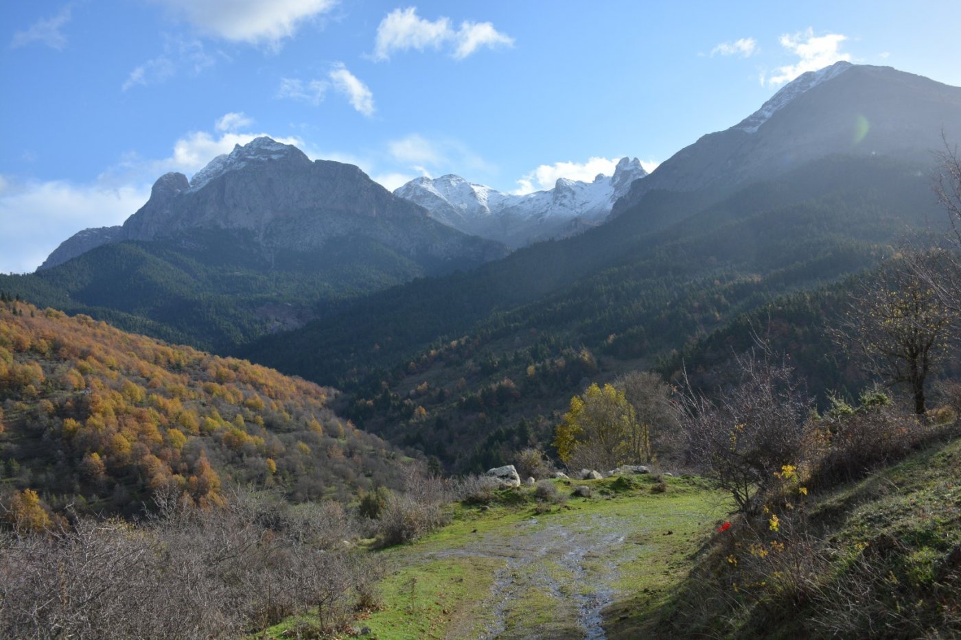 W. Vardousia mt / opening the old Artotina - Lakkos forest path / Pindus trail 