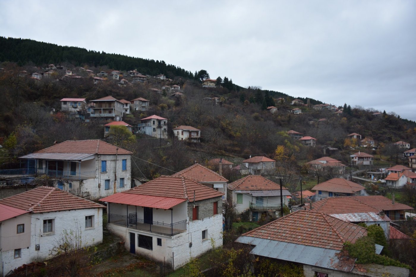 W. Vardousia mt / opening the old Artotina - Lakkos forest path / Pindus trail 