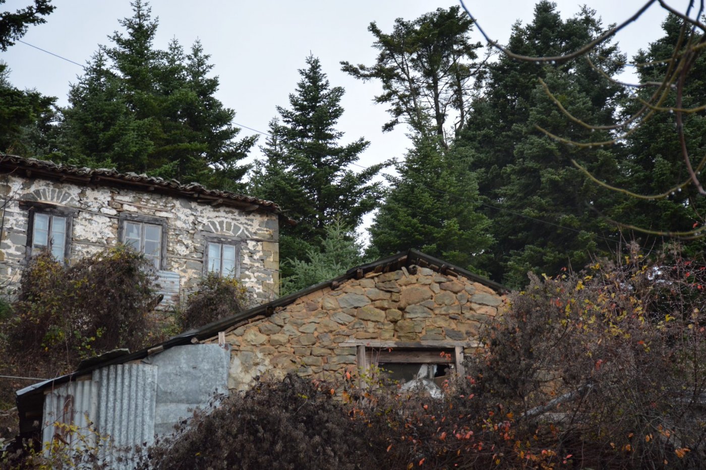 W. Vardousia mt / opening the old Artotina - Lakkos forest path / Pindus trail 