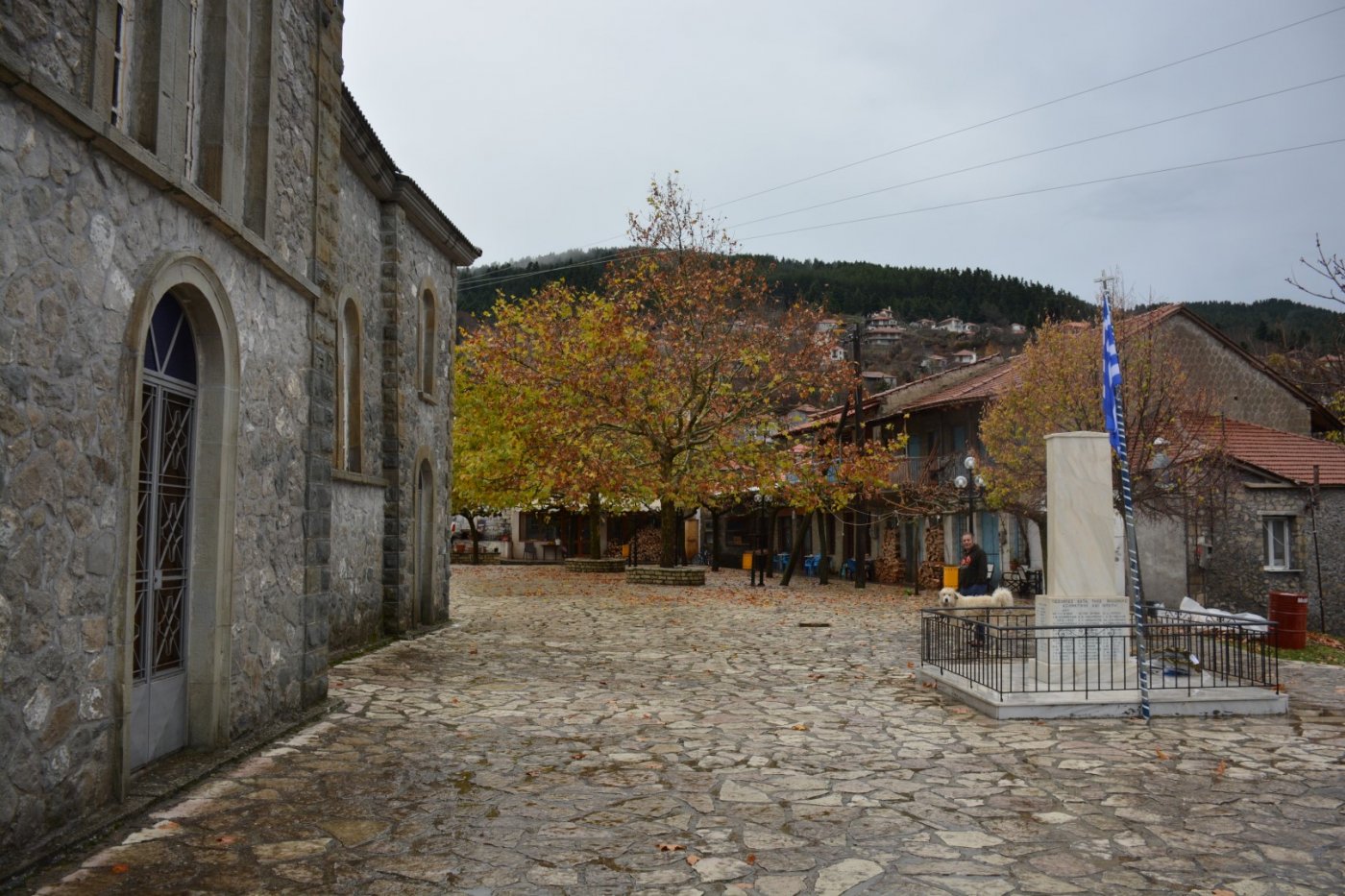 W. Vardousia mt / opening the old Artotina - Lakkos forest path / Pindus trail 