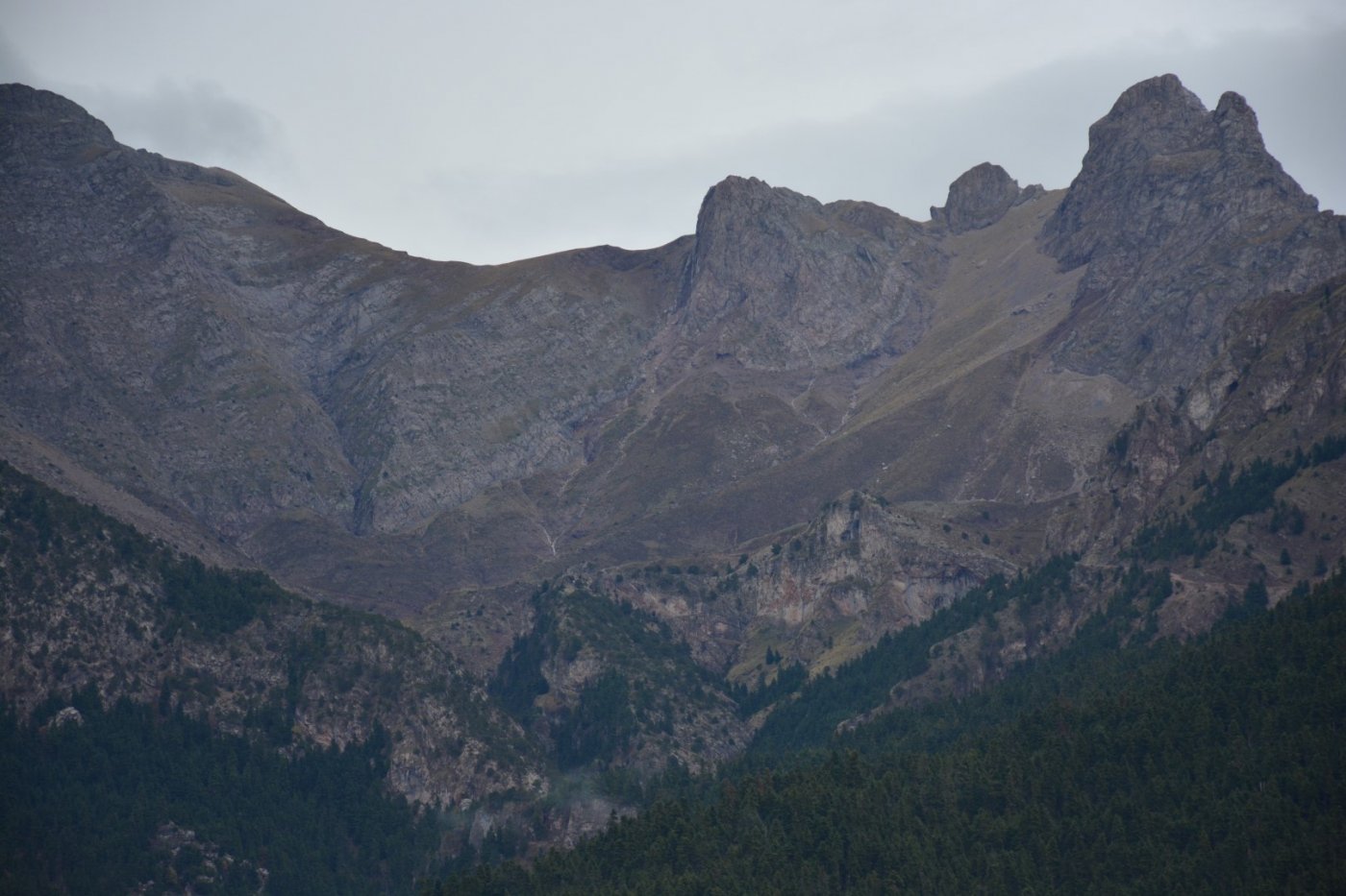 W. Vardousia mt / opening the old Artotina - Lakkos forest path / Pindus trail 