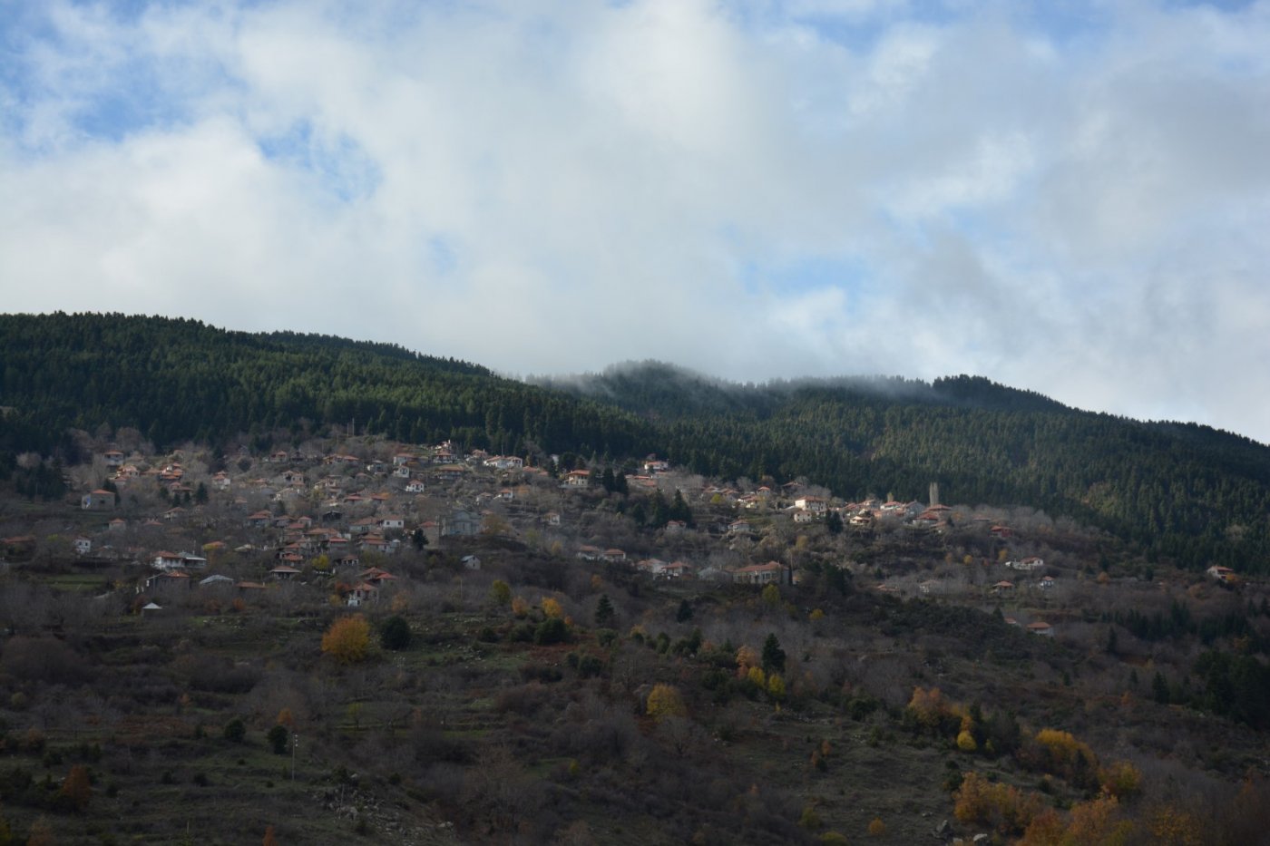 W. Vardousia mt / opening the old Artotina - Lakkos forest path / Pindus trail 