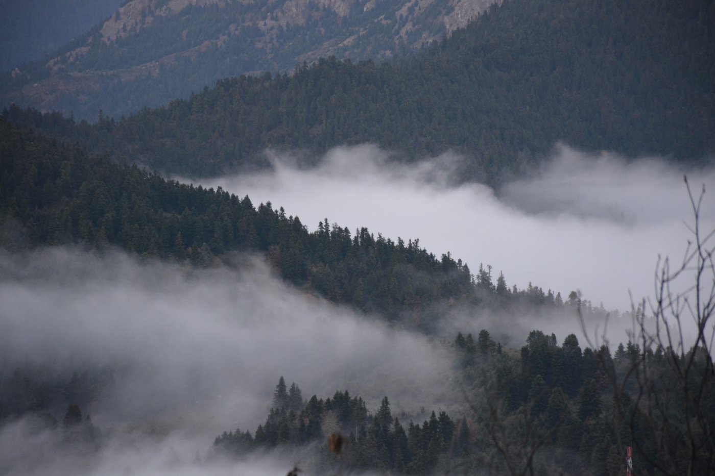 W. Vardousia mt / opening the old Artotina - Lakkos forest path / Pindus trail 