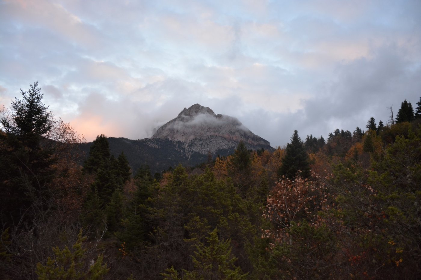 W. Vardousia mt / opening the old Artotina - Lakkos forest path / Pindus trail 