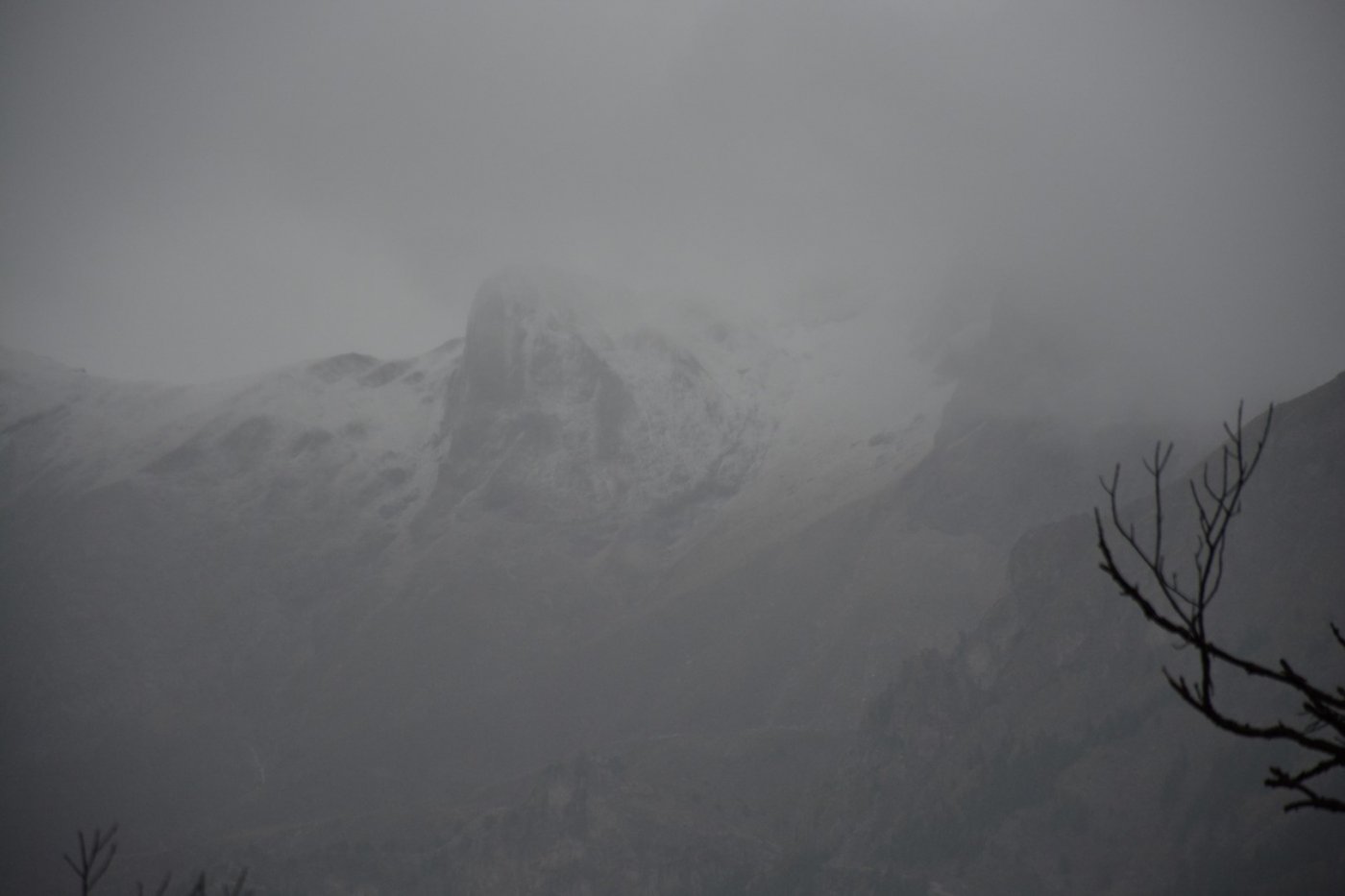 W. Vardousia mt / opening the old Artotina - Lakkos forest path / Pindus trail 