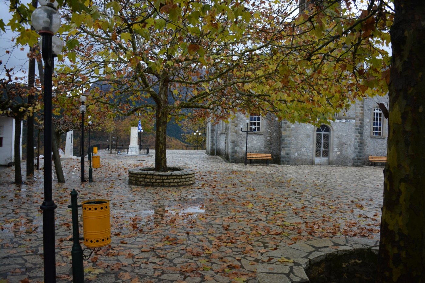 W. Vardousia mt / opening the old Artotina - Lakkos forest path / Pindus trail 