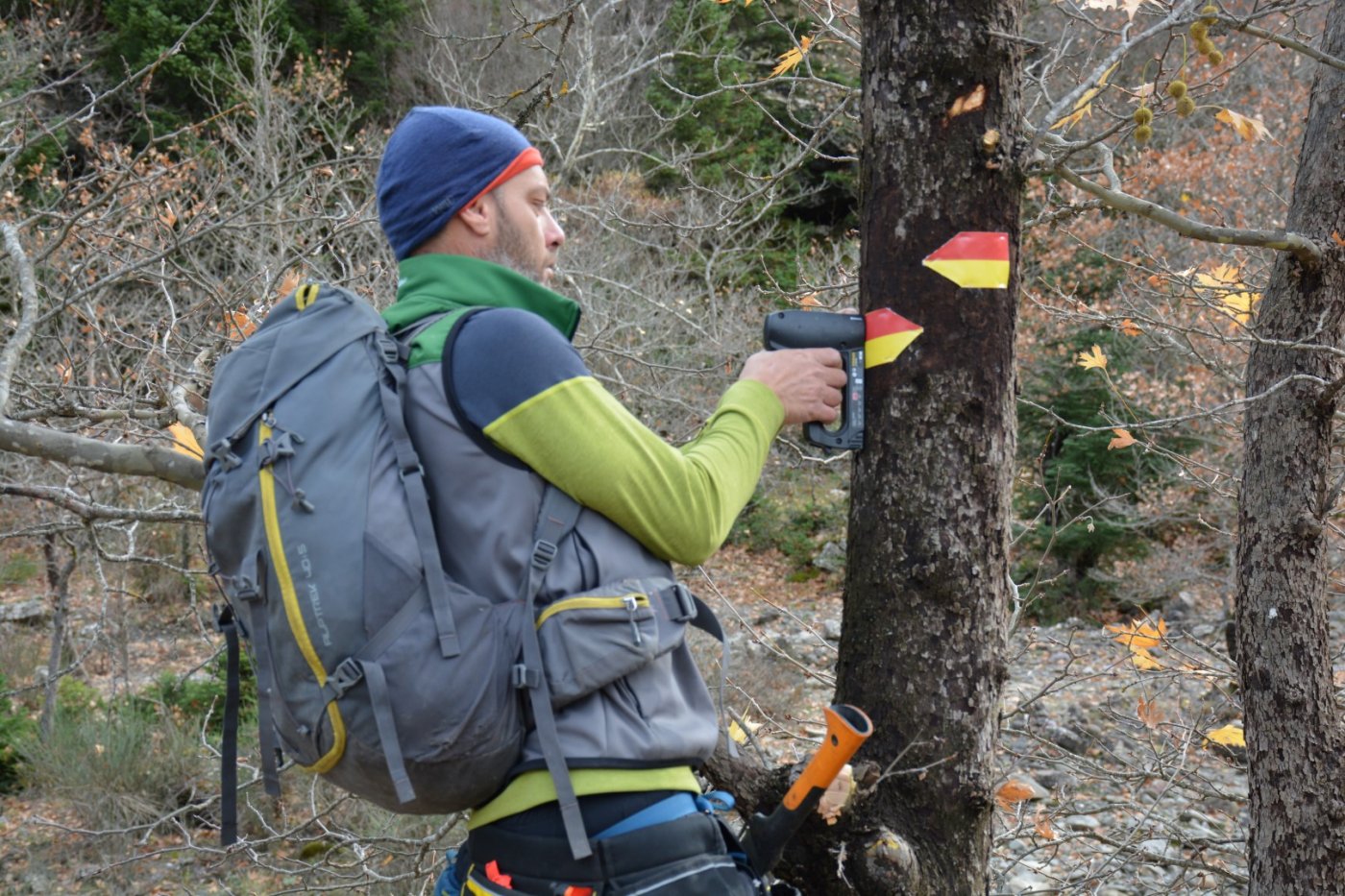 W. Vardousia mt / opening the old Artotina - Lakkos forest path / Pindus trail 