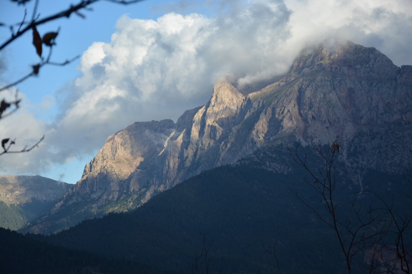 W. Vardousia mt / opening the old Artotina - Lakkos forest path / Pindus trail 