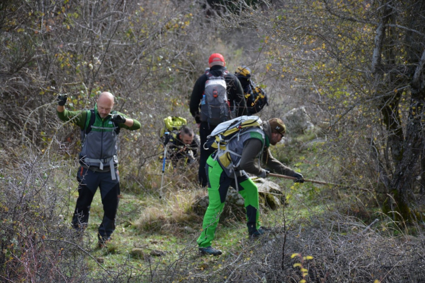 W. Vardousia mt / opening the old Artotina - Lakkos forest path / Pindus trail 