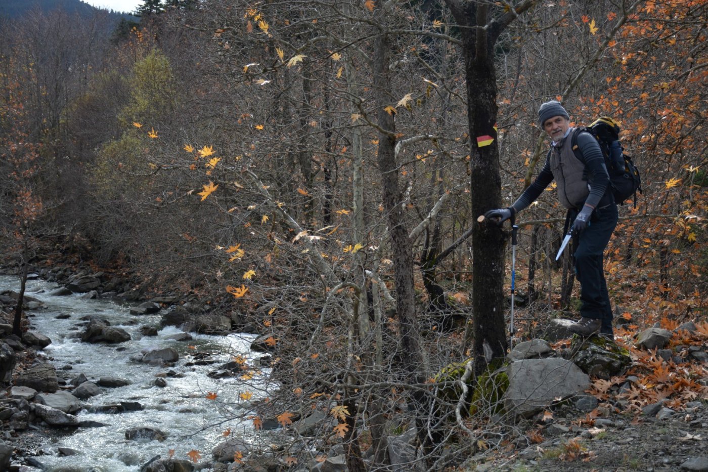 W. Vardousia mt / opening the old Artotina - Lakkos forest path / Pindus trail 