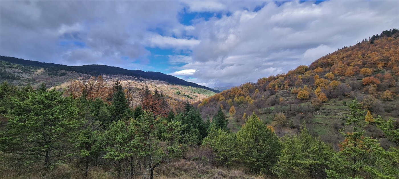 W. Vardousia mt / opening the old Artotina - Lakkos forest path / Pindus trail 