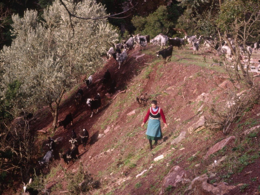 "the Pindos Way" η ιστορία και εξέλιξη της διαδρομής διάσχισης της Πίνδου.