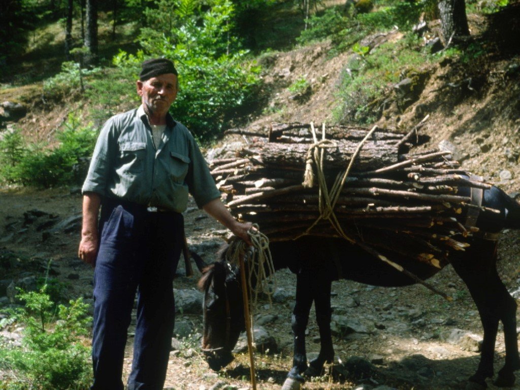 "the Pindos Way" η ιστορία και εξέλιξη της διαδρομής διάσχισης της Πίνδου.