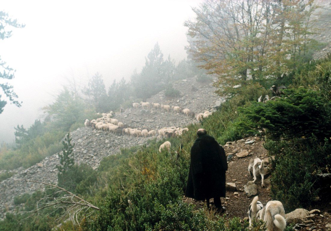 "the Pindos Way" η ιστορία και εξέλιξη της διαδρομής διάσχισης της Πίνδου.