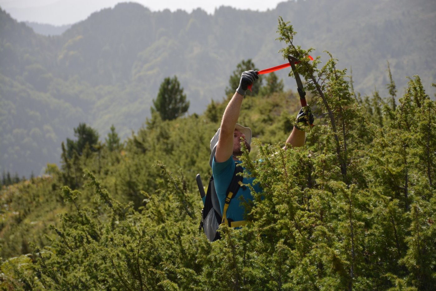 "the Pindos Way" η ιστορία και εξέλιξη της διαδρομής διάσχισης της Πίνδου.