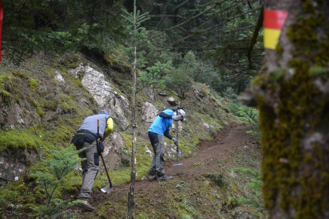 "the Pindos Way" η ιστορία και εξέλιξη της διαδρομής διάσχισης της Πίνδου.