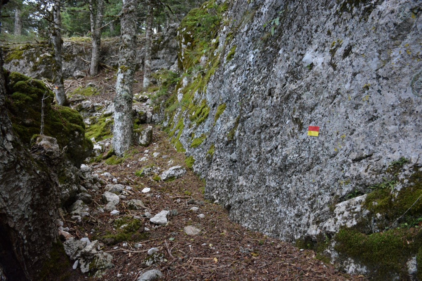 Marking materials for the Pindus Trail project