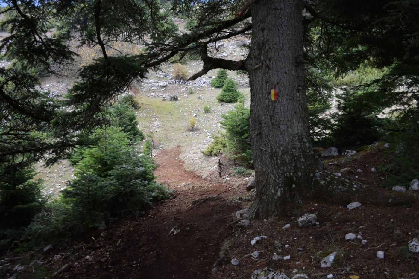 Τα υλικά σήμανσης στη σύνθεση του Pindus Trail