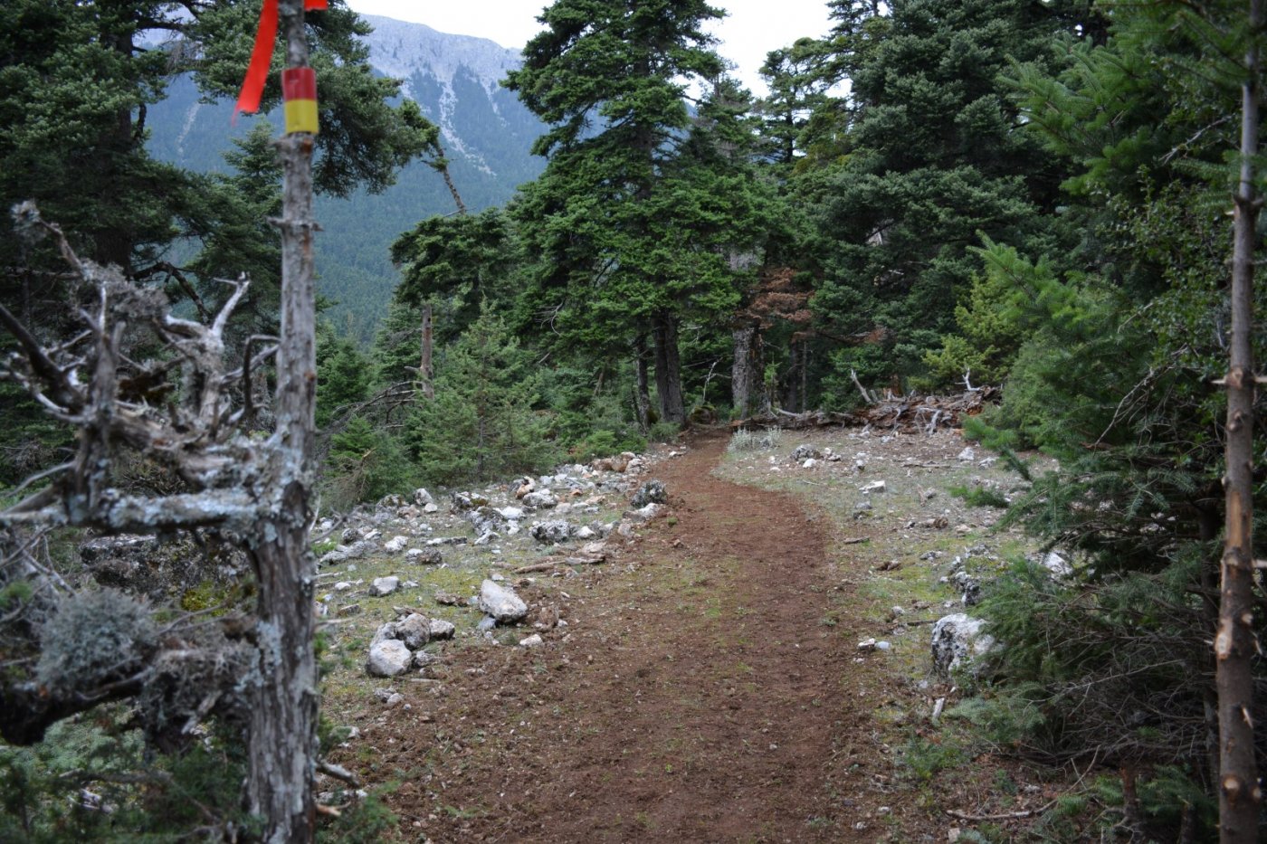 Τα υλικά σήμανσης στη σύνθεση του Pindus Trail