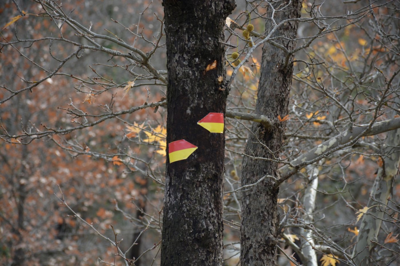 Marking materials for the Pindus Trail project