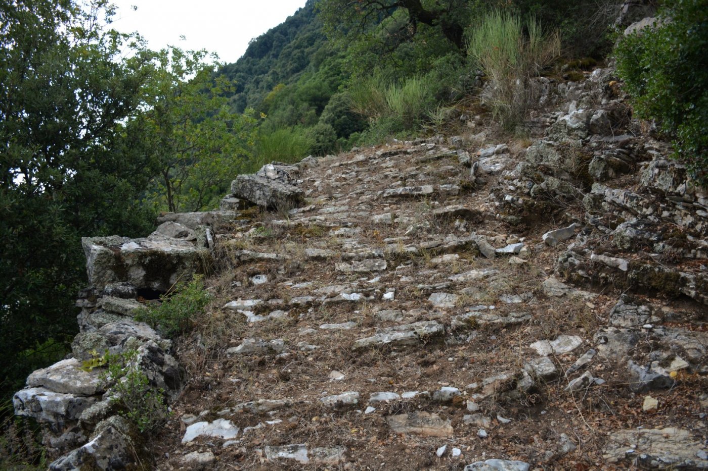 Western Agrafa, / Agrafiotis river (Karvasaras) - Epiniana - Asprorema 14km / Central Pindos